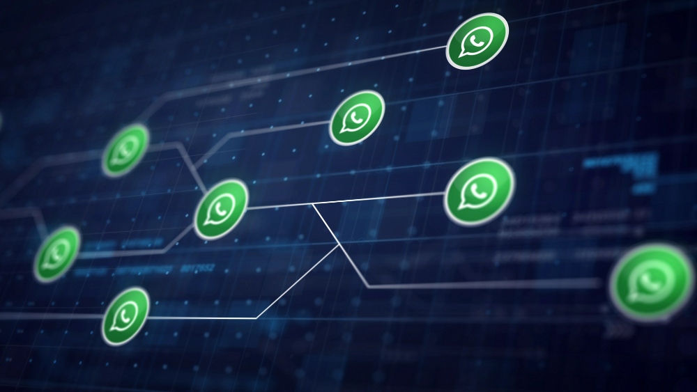 Niveles de integración de WhatsApp en una web - Remotesquid.com